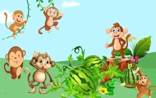 猴子吃瓜公开课,揭秘动物世界中的智慧与趣味