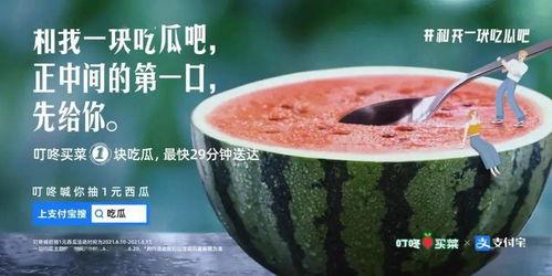 南京酒吧事件吃瓜,揭秘背后真相与争议