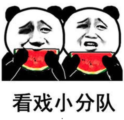 吃瓜表情 啥意思,网络热词背后的文化现象