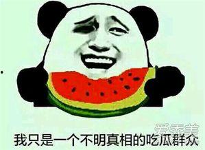 吃瓜嗑瓜围观什么意思,网络热词背后的社交现象