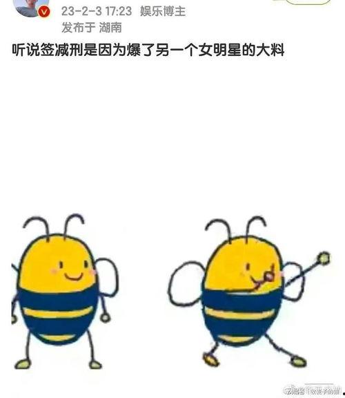 吃瓜老衲高清壁纸,趣味横生的佛系生活瞬间