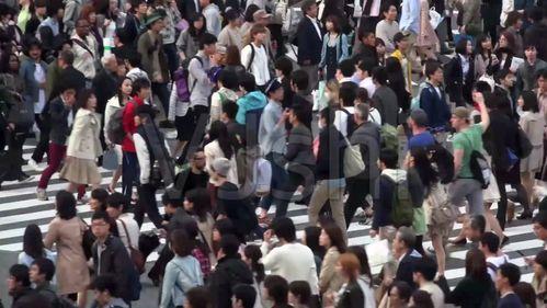 吃瓜群众谢幕视频大全,视频大全回顾