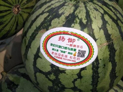 瓜瓜吃瓜明确的主题,揭秘娱乐圈那些不为人知的秘密