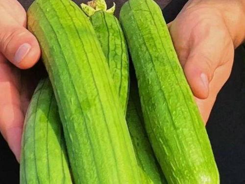 清瓜能直接吃吗怎么吃